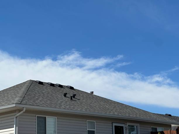 Best Commercial Roofing Services  in Lucas, TX